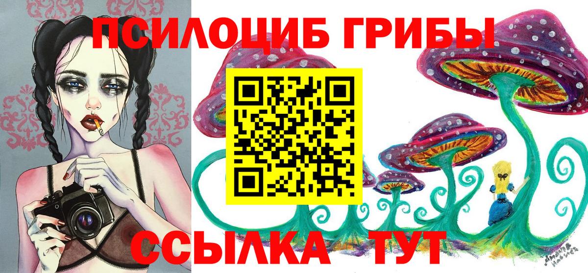 Галлюциногенные грибы GOLDEN TEACHER  Вход с VPN  Киров  Псилоцибиновые грибы Cubensis 