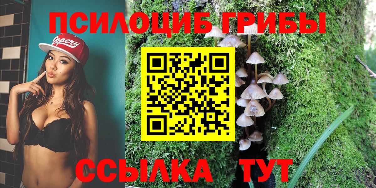 Галлюциногенные грибы Magic Shrooms Киров